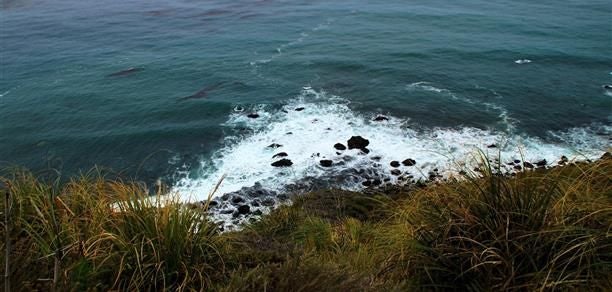 Luxurious cottage-style hotel room with panoramic forest views, rustic wooden furnishings, elegant bedding, and floor-to-ceiling windows at Ventana Big Sur resort