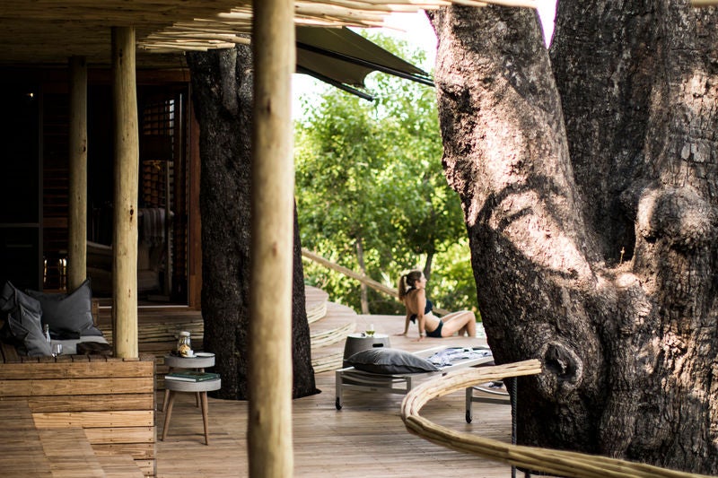 Elevated luxury safari lodge with thatched roof and wooden deck overlooking Botswana's delta grasslands at golden hour