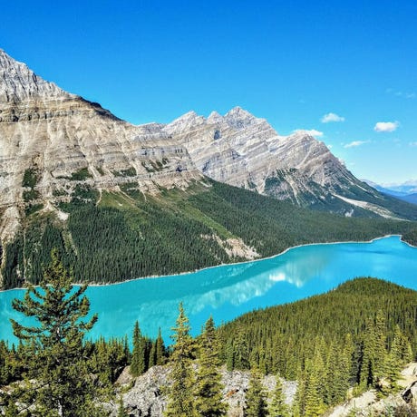 Peyto Lake
