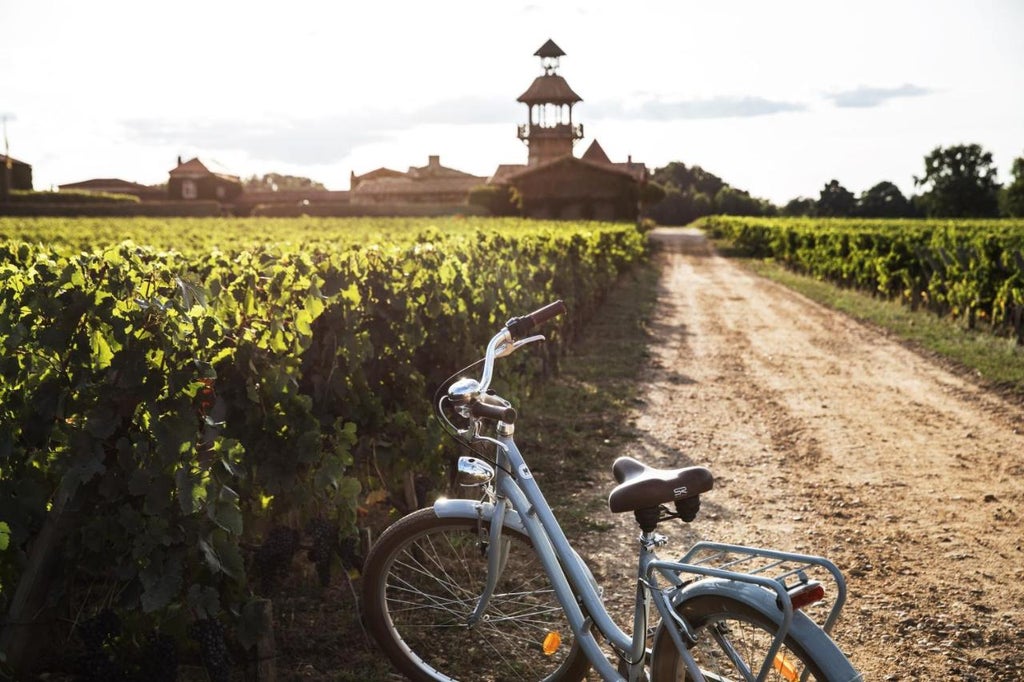 Elegant French luxury spa hotel with rustic stone walls surrounded by vineyards at sunset, featuring a tranquil lake reflection