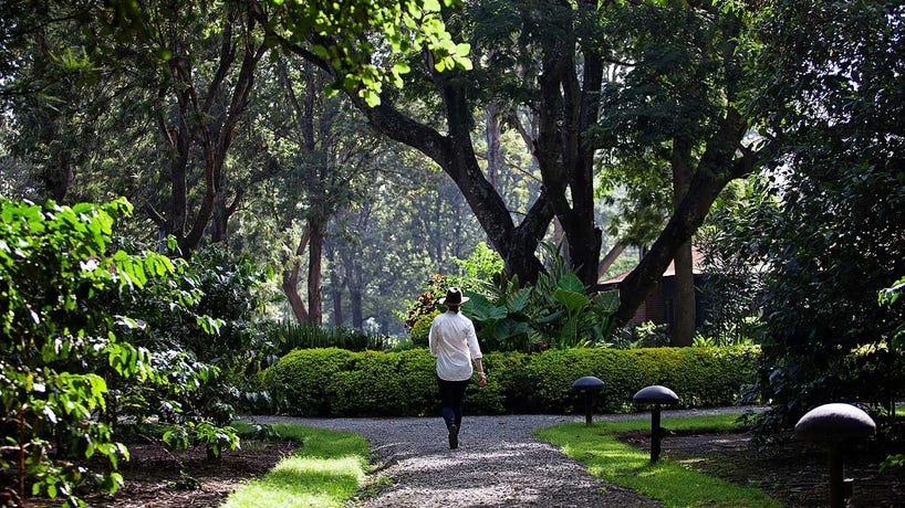 The serene grounds at a lodge in Arusha
