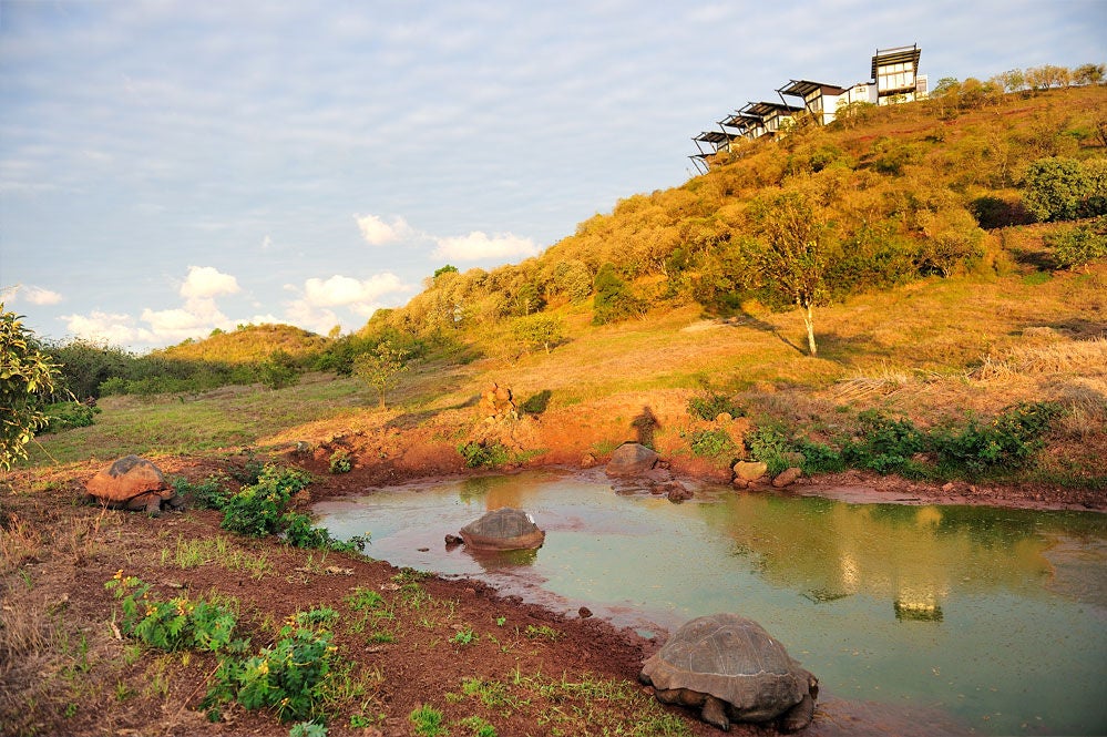 Luxurious eco-lodge nestled in Galapagos highlands, featuring modern architecture with panoramic volcanic landscape views and elegant outdoor terrace.