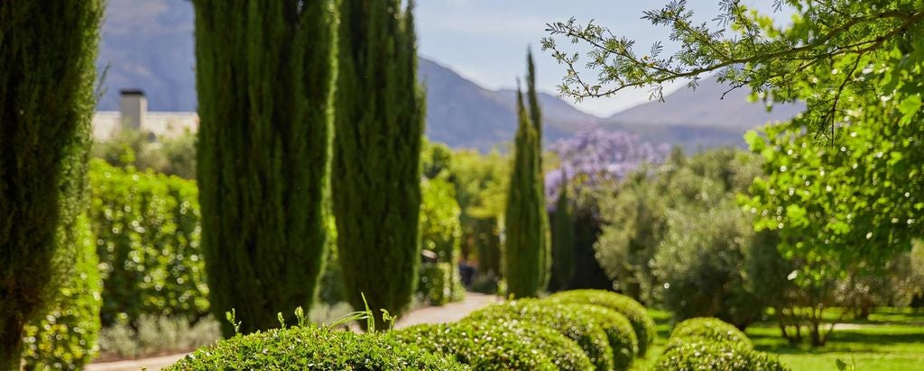 Elegant French Colonial hotel nestled in Franschhoek Valley, featuring white-washed walls, manicured gardens and mountain backdrop