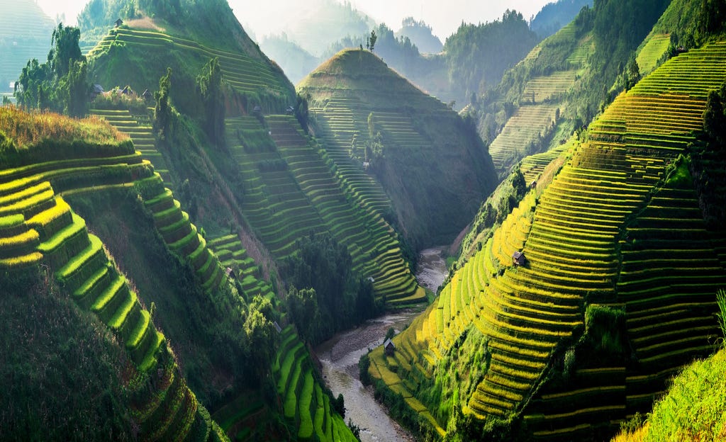 Lose Yourself in the Rice Terraces of Asia