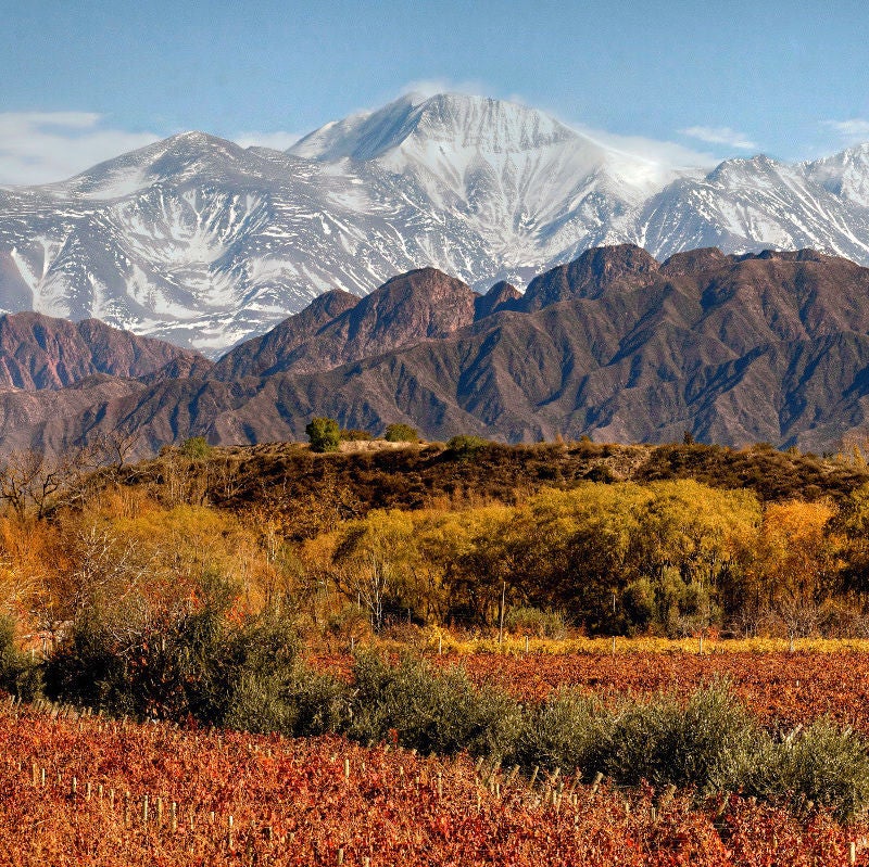 Modern boutique hotel nestled in Mendoza vineyards at sunset, featuring clean white architecture and stunning Andes mountain backdrop