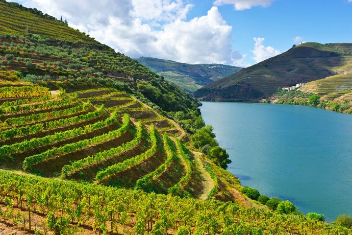 The Douro River running through the valley