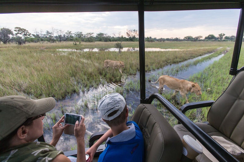 Elevated luxury safari lodge with private wooden deck overlooking pristine Okavango Delta waterways at golden hour in Botswana