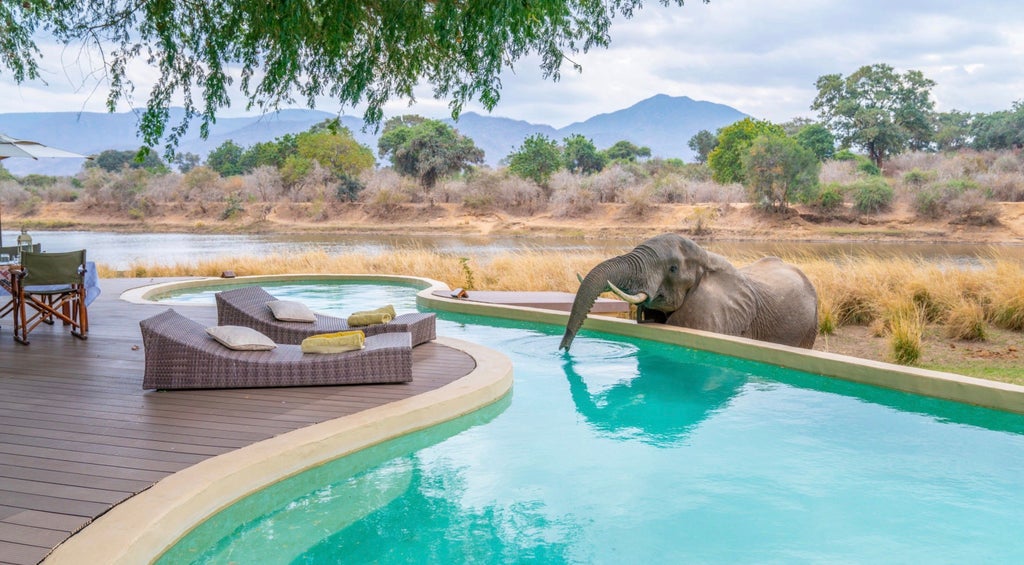 Elegant safari lodge with curved thatched roof nestled between ancient trees along Chongwe River, showcasing natural stone and wood design