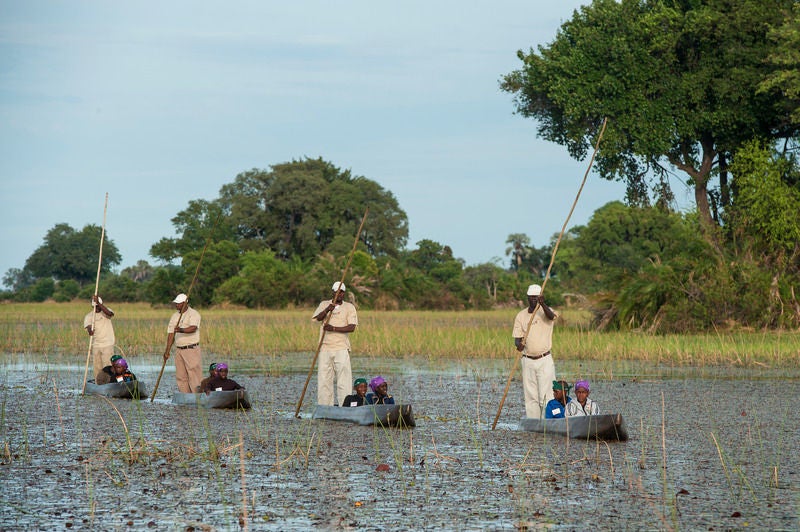 Elevated wooden safari lodge with private deck overlooking pristine wetlands at sunset, surrounded by lush Delta vegetation