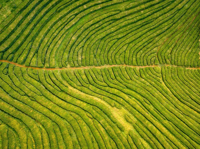 São Miguel, Azores, Portugal
