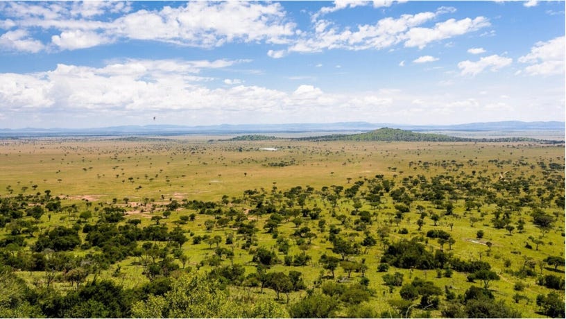 The landscape of the Serengeti
