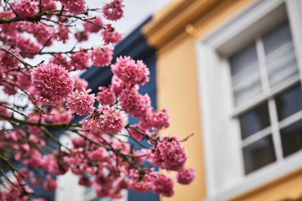 Elegant Victorian-style hotel facade with ornate architectural details, nestled in lush countryside, exuding timeless luxury and charm of The Lost Poet in scenic United Kingdom landscape