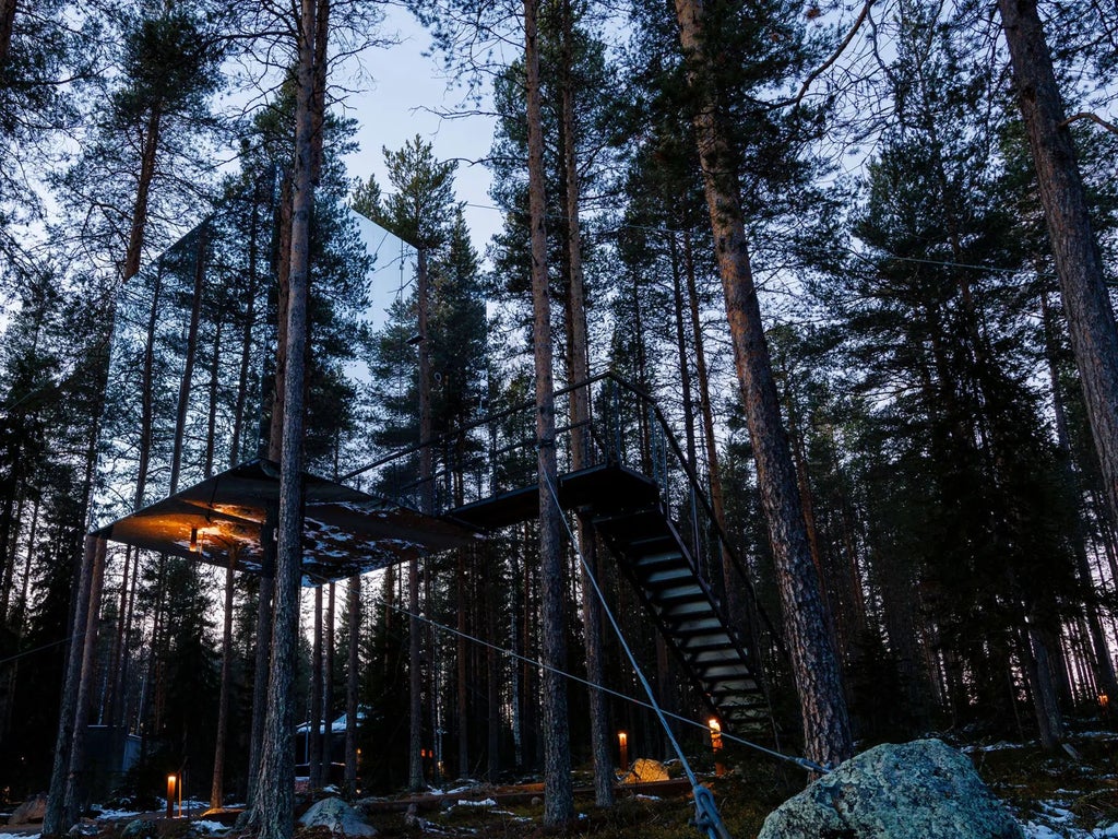 Luxurious mirrored treehouse suspended among pine trees in Swedish forest, reflecting surrounding woodland with modern architectural design