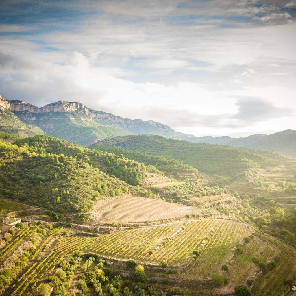 Luxurious rustic stone hotel exterior with vineyard views, nestled in scenic Spanish countryside, showcasing elegant architecture and wine-making heritage.