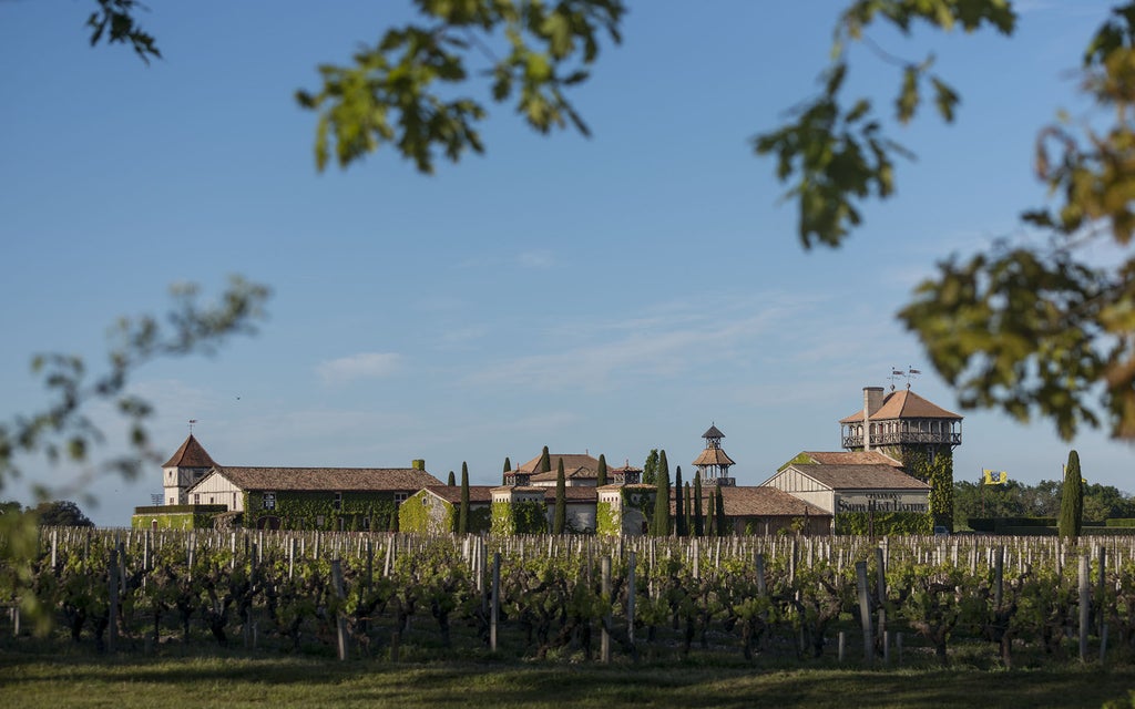 Elegant French château hotel surrounded by vineyards and gardens, featuring stone walls, traditional architecture and a serene lake view