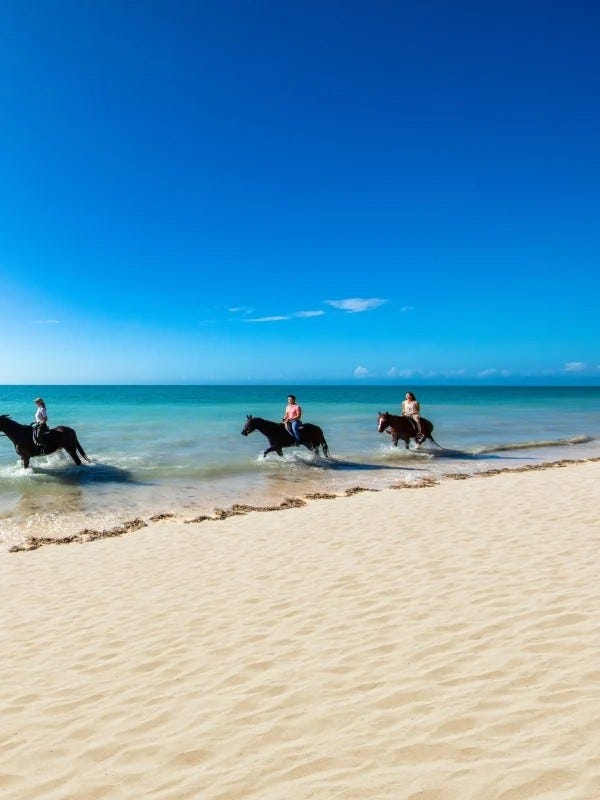 Horseback riding on the beach in Nassau
