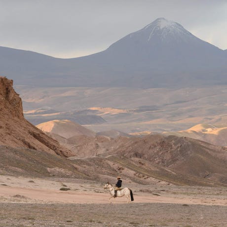 Dunas Horseback Ride (half day)
