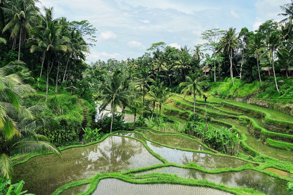 Stunning beach in Bali with crystal clear turquoise waters, soft white sand, and luxury beachfront villas nestled among swaying palm trees