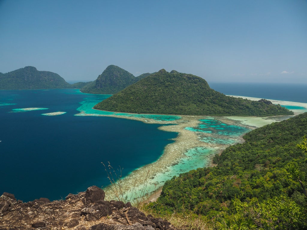 Dense Borneo rainforest trek showcasing lush green canopy, exotic tropical vegetation, and a winding hiking trail leading adventurers through Malaysia's pristine wilderness landscape.