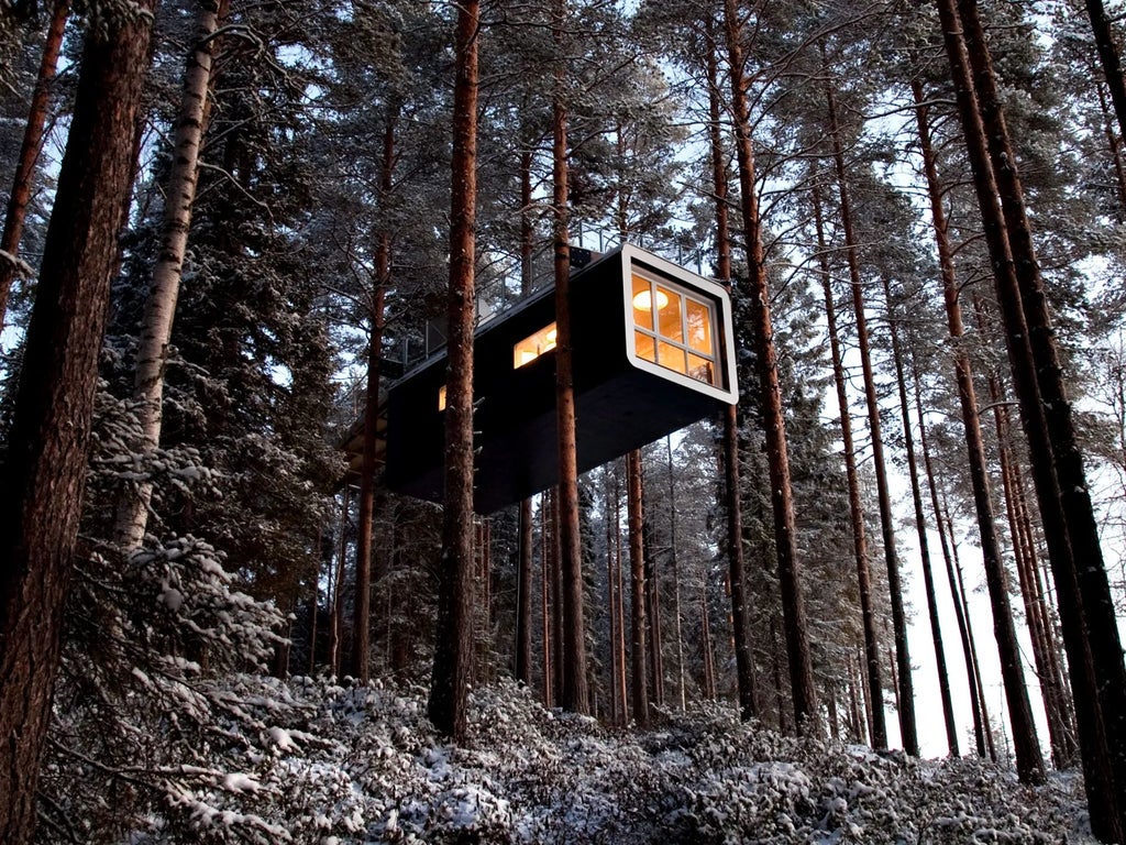 Suspended mirrored treehouse suite nestled among pine trees in Swedish forest, reflecting surrounding woodland in elegant, minimalist architectural design