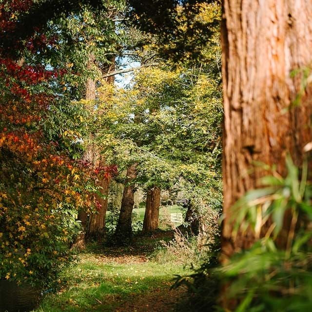 Luxurious countryside hotel nestled in lush New Forest landscape, featuring elegant stone exterior, manicured gardens, and refined architectural details of scenset property.