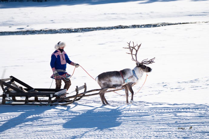 Reindeer Sleigh Ride
