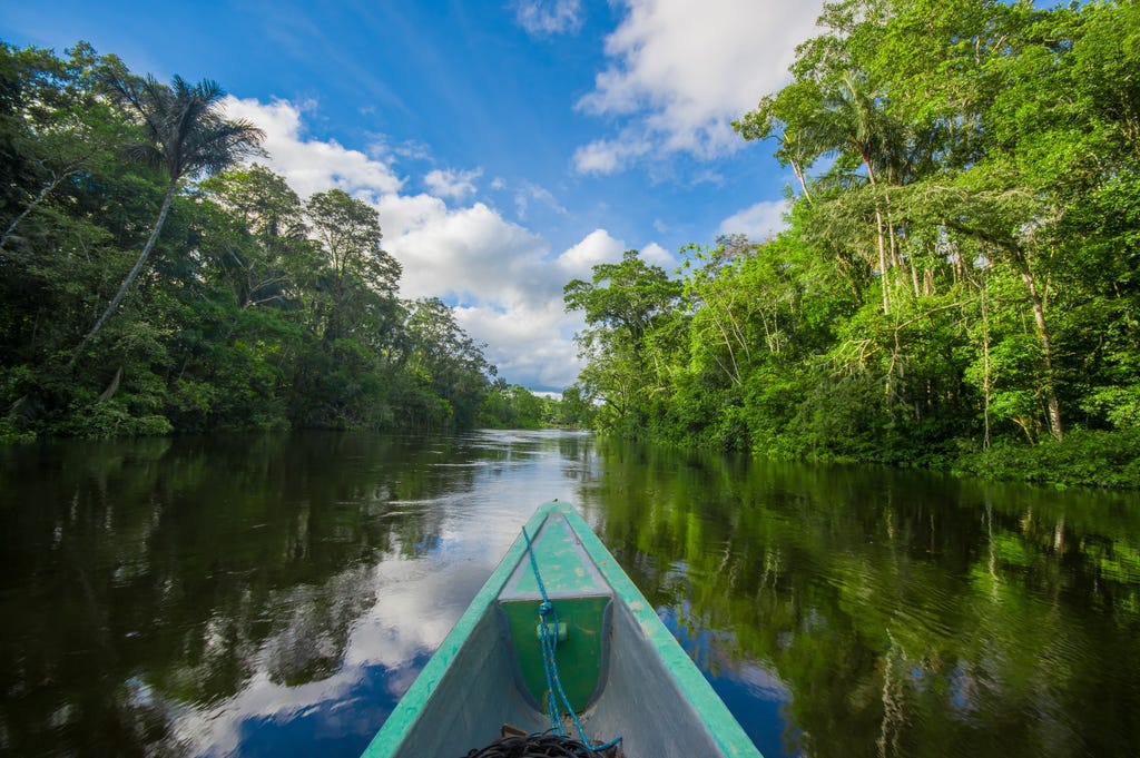 The Amazonian Eco-Haven of La Selva Lodge, Ecuador