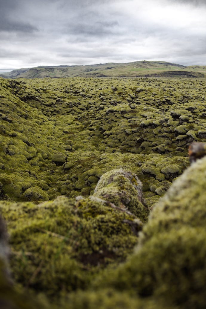 The enchanting and alien-like landscape over the lava fields