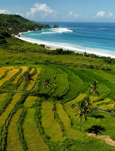 Luxurious beachfront villa at NIHI Sumba with private infinity pool overlooking pristine Indian Ocean waves and palm-fringed coastline