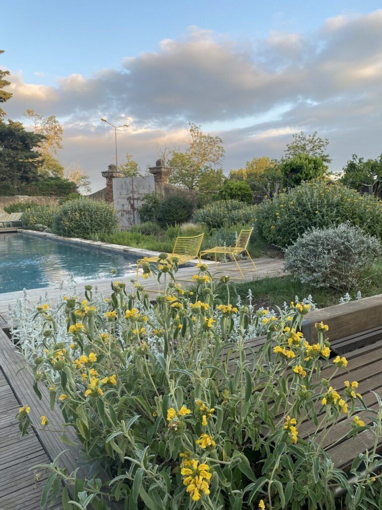 Rustic stone farmhouse hotel with lavender fields, terracotta roof, and elegant Provençal landscape under soft golden sunlight in southern France