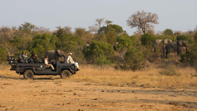 Drive alongside herds of elephants
