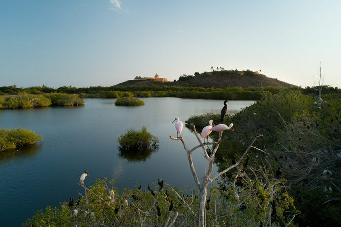 There are more than 270 different bird species living in the reserve