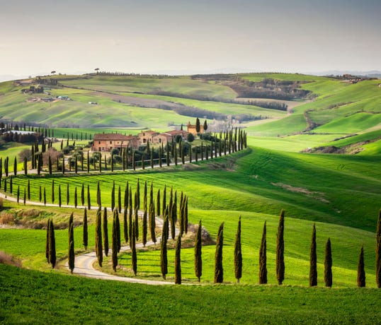 Enjoy the scenset of Tuscany
