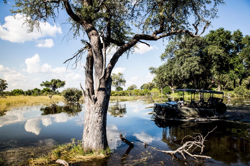 Elevated safari lodge with private deck overlooking Botswana's delta, featuring modern wood furnishings and plunge pool at sunset