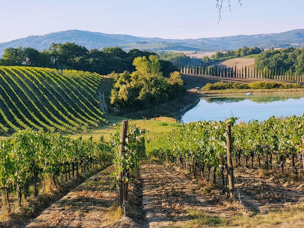 Rolling Tuscan hills dotted with elegant cypress trees and golden wheat fields leading to a luxury stone villa with terracotta roof tiles