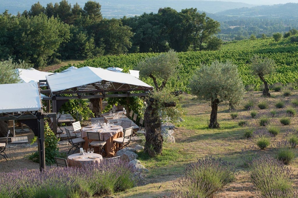 Elegant stone-built Provence hotel with lavender gardens, private balconies, and a sun-lit terrace overlooking rolling vineyard hills