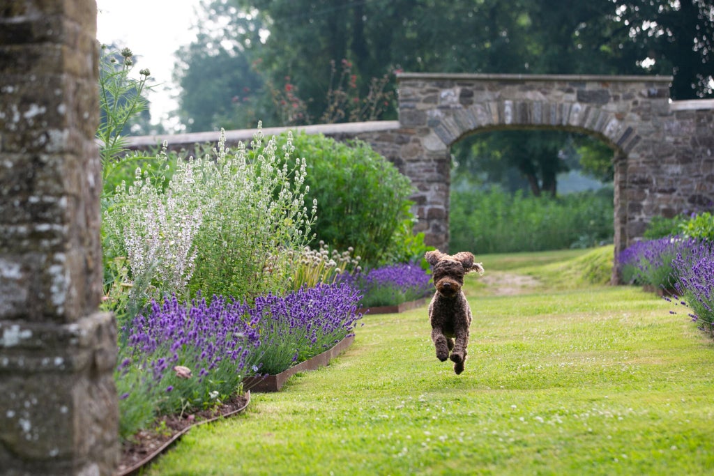 Elegant stone manor house with manicured gardens, soft lighting, and lush greenery, showcasing a luxurious countryside retreat in scenic Welsh landscape