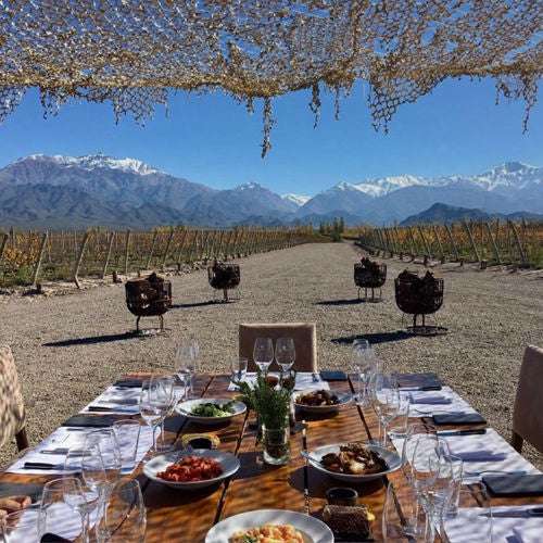 Modern luxury resort nestled among vineyards with infinity pool reflecting mountain views, glass-walled architecture at sunset