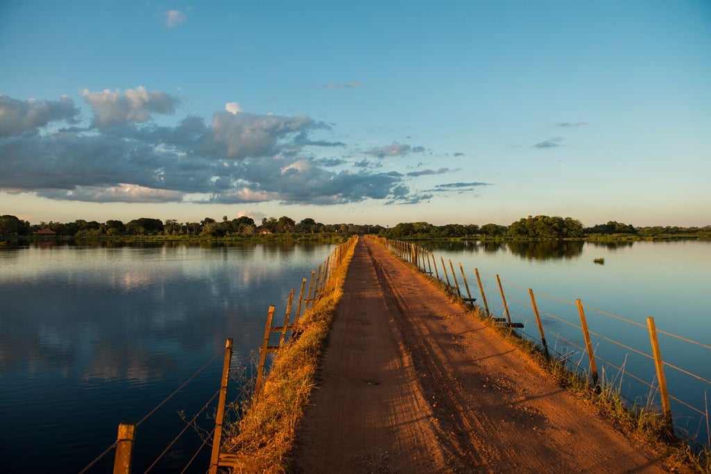 Luxurious ecological resort nestled in Brazilian wetlands, with rustic wooden cabins surrounded by lush tropical vegetation and wildlife of the Pantanal