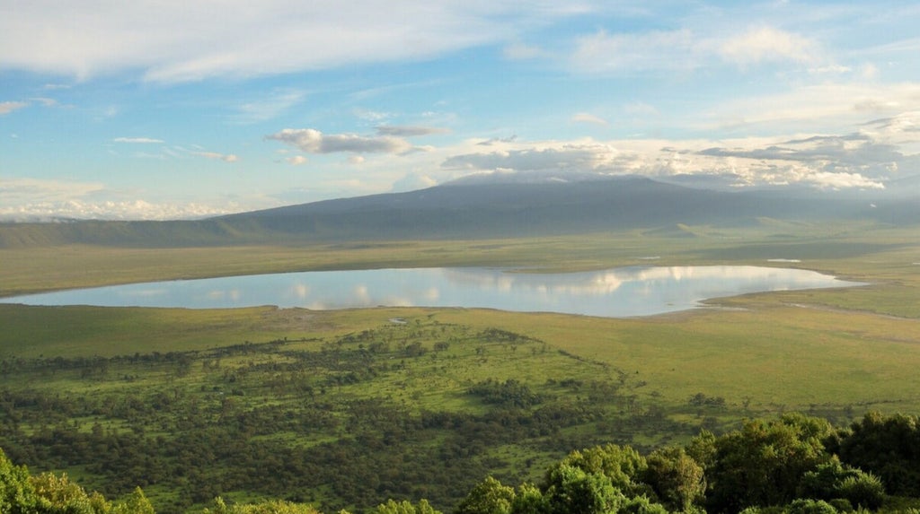 View over the vast Ngorongoro Crater in Tanzania, showing misty volcanic caldera with green plains and winding roads below pink sky