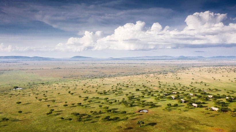 The immaculate landscape around Singita Sabora
