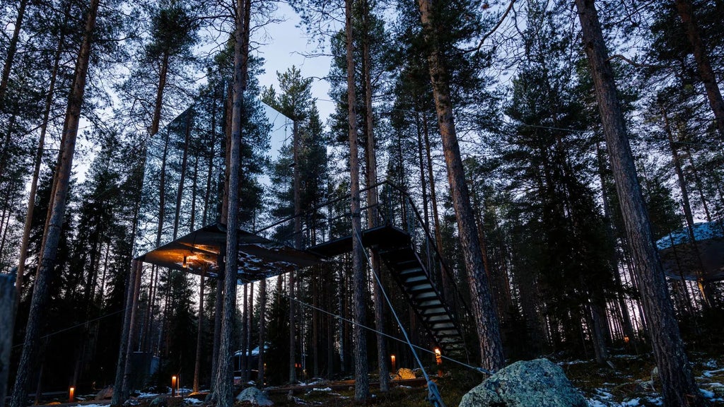 Suspended mirrored cube cabin nestled among pine trees in Swedish forest, reflecting surrounding woodland with minimalist architectural design