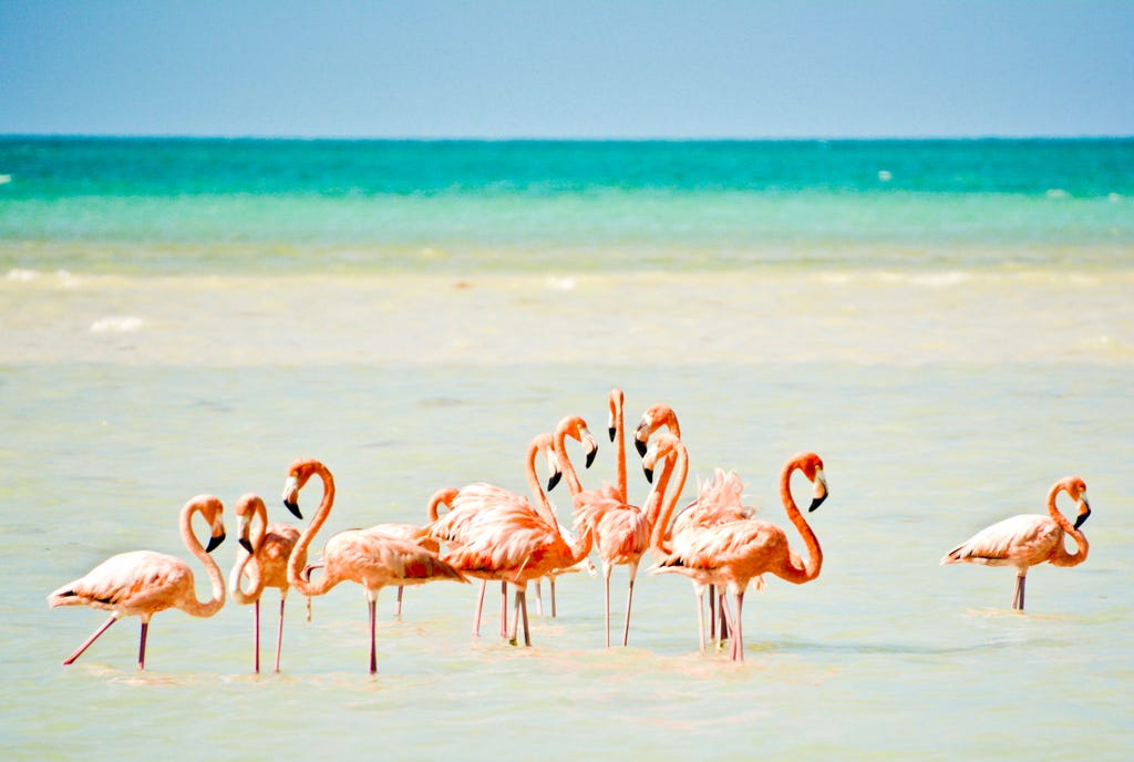 Isla Holbox