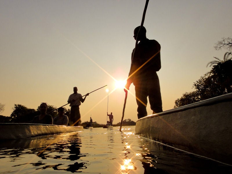 Elevated luxury lodge with wooden walkways connecting overwater suites, surrounded by lush Okavango Delta wetlands at sunset