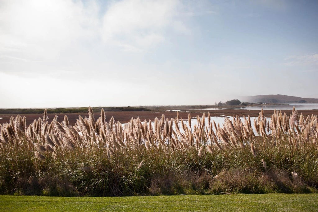 Rustic coastal lodge with panoramic ocean views, wooden deck, and elegant seaside design nestled in scenic Bodega Bay landscape at sunset