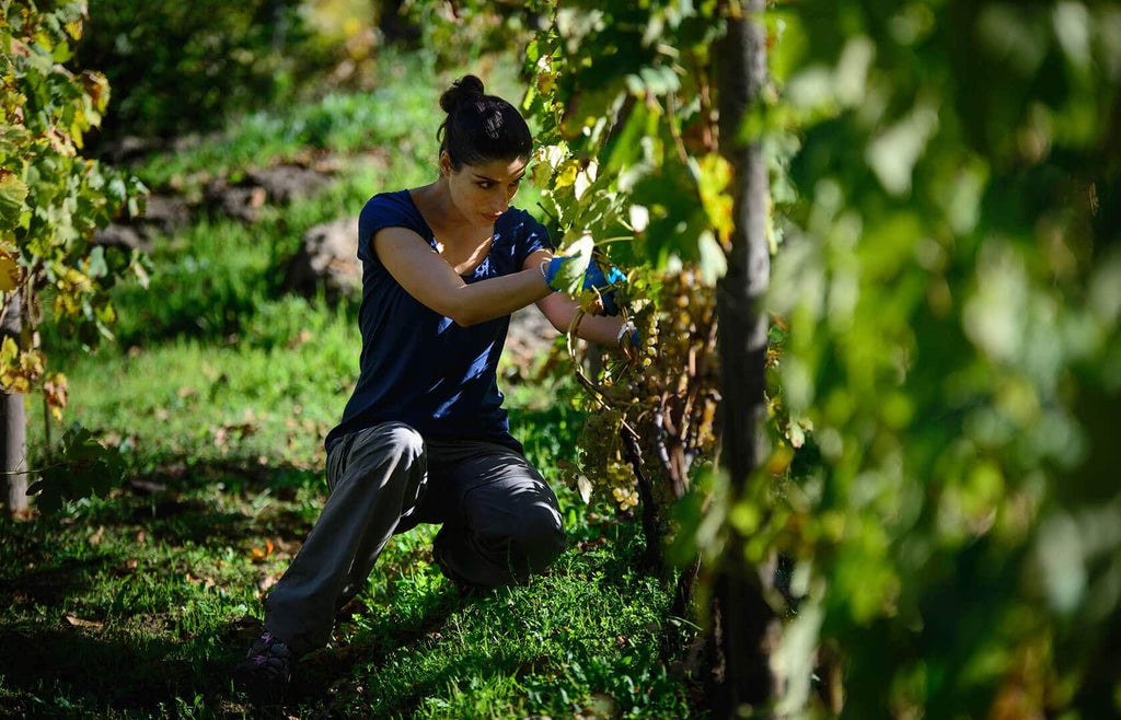 Luxury cooking class amid volcanic landscape, chefs preparing gourmet dishes with Mount Etna's dramatic backdrop and local Italian ingredients