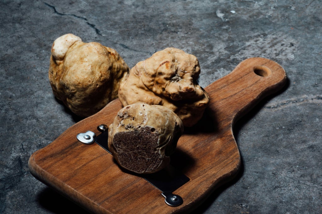 Hands kneading homemade pasta dough on a rustic wooden table with fresh ingredients, showcasing traditional Istrian culinary expertise