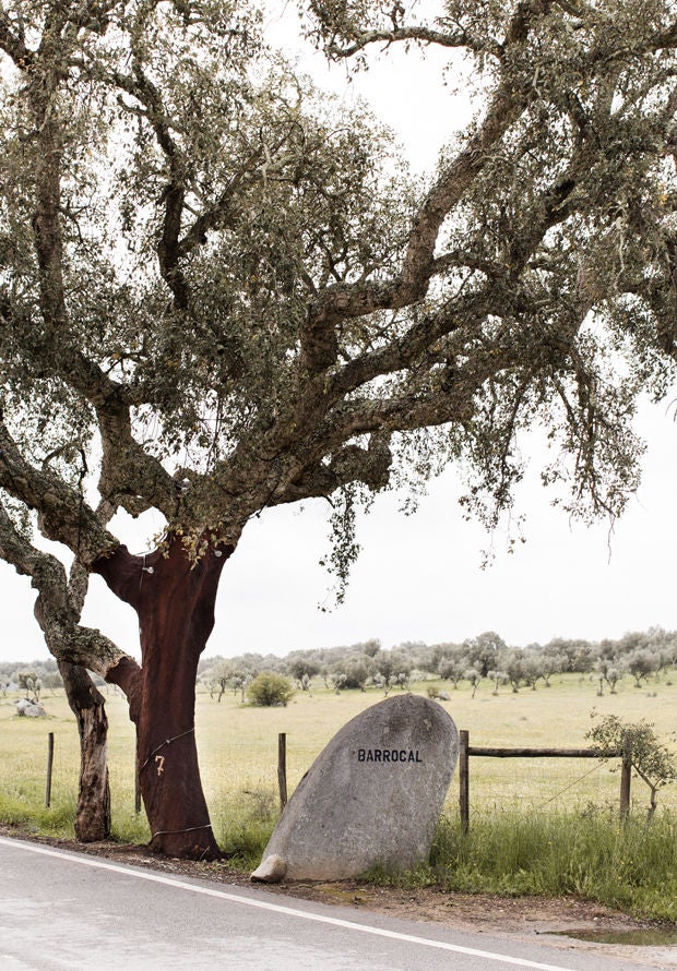 Whitewashed Portuguese farmhouse hotel with rustic stone walls, wooden beams and climbing vines set against rolling countryside hills