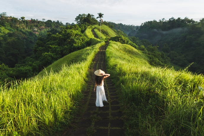 The stunning Balinese countryside
