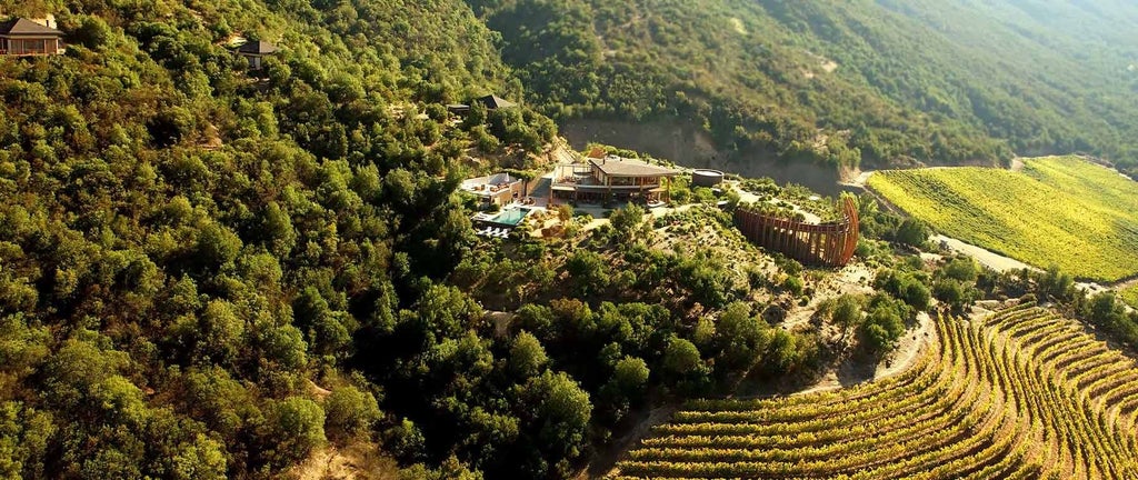 Luxurious hillside hotel suite with panoramic vineyard views, nestled in scenic Chilean wine country, featuring modern architecture and elegant interior design